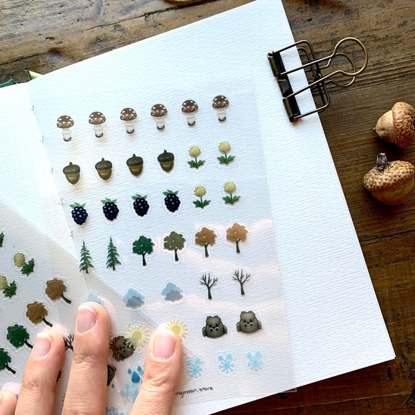 Foraging A6 planner sticker sheet, clear stickers, foraging stickers, foraging journaling, mushroom journal