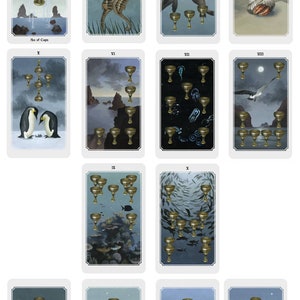 Anima Mundi tarot deck, 78 card deck with guide book, nature deck, occult divination card sold by original artist image 9