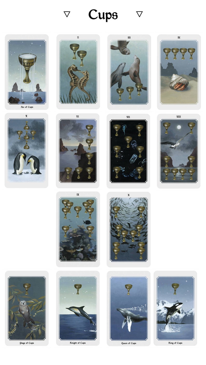 Anima Mundi tarot deck, 78 card deck with guide book, nature deck, occult divination card sold by original artist image 9