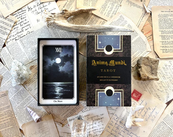 Anima Mundi tarot deck, 78 card deck with guide book, nature deck, occult divination card sold by original artist