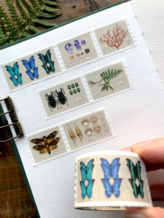 Specimen drawer stamp washi tape, natural history washi, natural history museum, botanical washi, dark academia, light academia, stamp washi