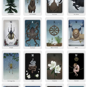 Anima Mundi tarot deck, 78 card deck with guide book, nature deck, occult divination card sold by original artist image 6