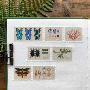 May include: A collection of postage stamps featuring illustrations of butterflies, crystals, coral, beetles, ferns, a moth, seashells, and other natural elements. The stamps are arranged on a white background with a green border.