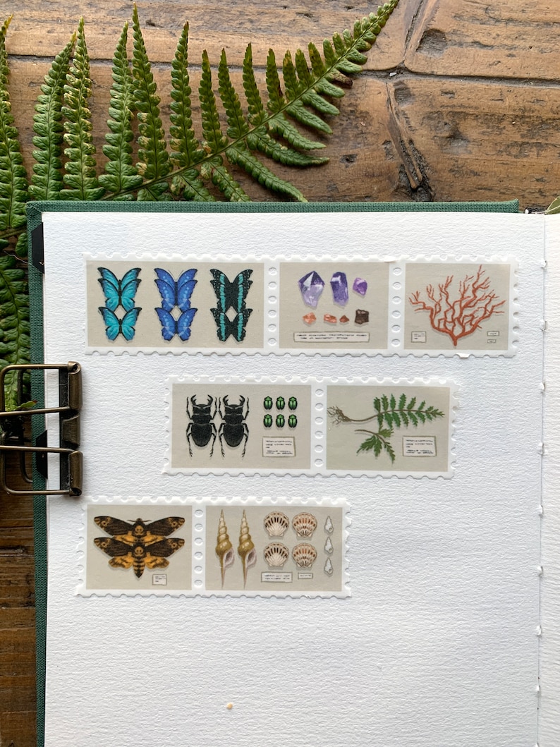 May include: A collection of postage stamps featuring illustrations of butterflies, crystals, coral, beetles, ferns, a moth, seashells, and other natural elements. The stamps are arranged on a white background with a green border.