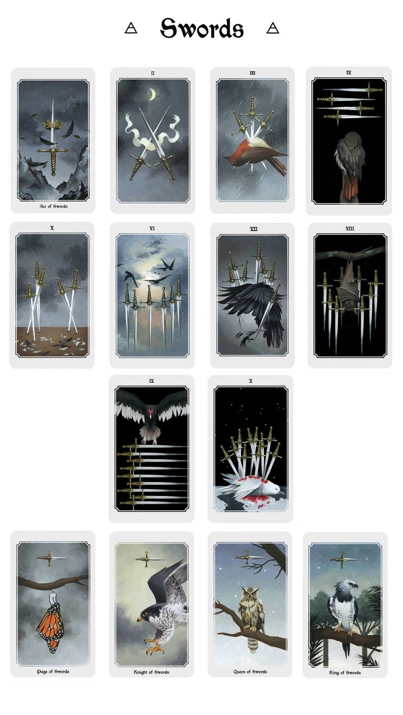 Anima Mundi tarot deck, 78 card deck with guide book, nature deck, occult divination card sold by original artist image 7