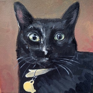 Chewy animal portraits deals