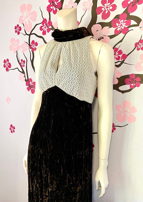 1970's Vintage Brown Crushed Velvet Gown, Small Gem