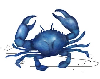 Blue Crab - nautical crab art print, beach decor