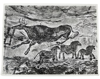 Vintage French Aerial Photo Print Cave Painting Drawing Lascaux Lapie Collection 1 Framing Display Photo c1950's / EVE