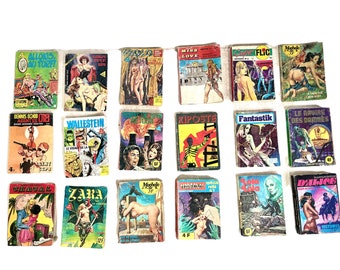 vintage Français Adult Comics Comic Book x18 Romans très graphiques Livres Collection Livre Souvenirs Collector Rare vers les années 1970 / EVE