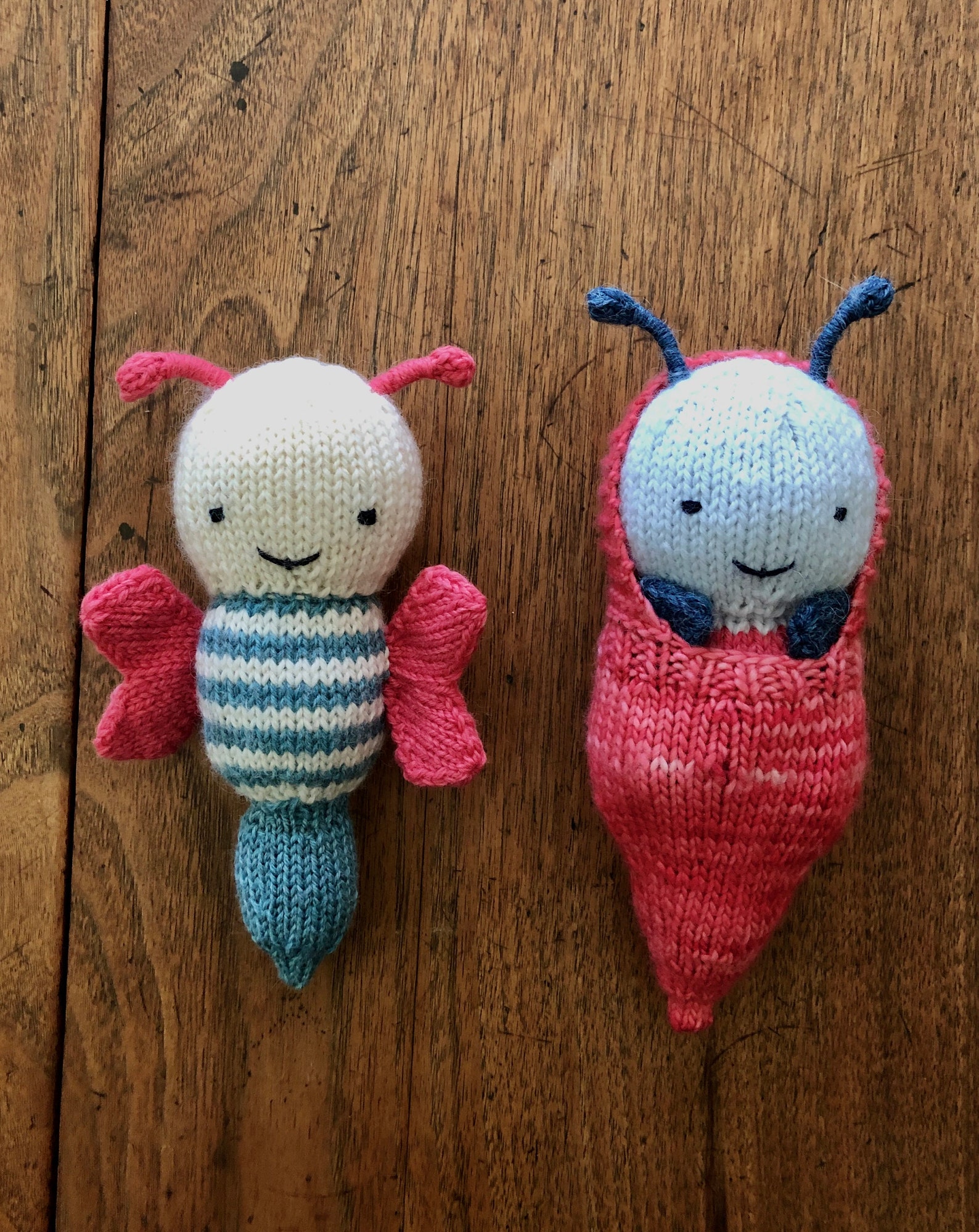 Butterfly and Cocoon Toy/ Knitted Butterfly/ Hand Knit Etsy