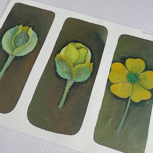 Il dipinto di Buttercup "Flower Metamorphosis" - uno squisito acquerello originale dipinto a mano