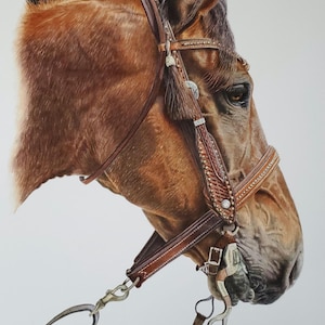 Ritratto di cavallo dipinto a mano, acquerello originale, cavaliere, regalo a forma di cavallo.