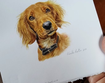 Custom portrait painting dog or cat pet illustration painted in watercolour professionally hand painted by Michelle Martin