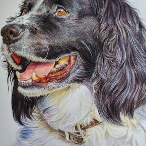 Pet portrait of your dog painted in watercolour