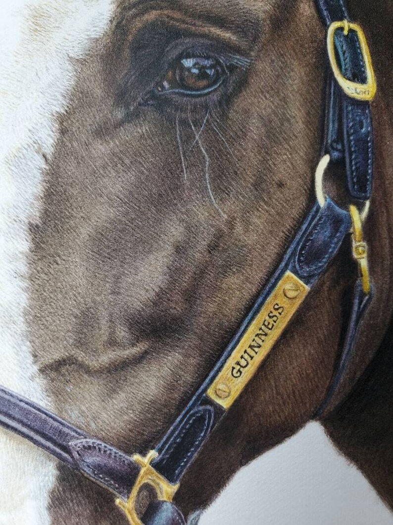 Horse Portrait Painting Commission Finely Detailed in Etsy