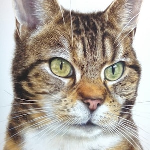 Pet portrait of your dog painted in watercolour