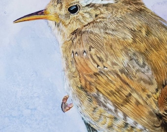 Wren bird original watercolour painting one-off work of art 100% hand painted