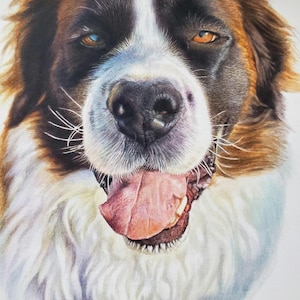 Custom pet portrait, hand-painted, watercolour, dog portrait, cat portrait, horse portrait