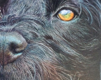 Custom pet portrait painting hand painted black dog in watercolour professionally by Michelle Martin
