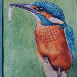 Kingfisher painting, watercolour paintings x 2 one-off works of art 100% hand-painted, framed