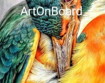 Kingfisher / Bird original watercolour painting with hand-painted Fine art painting / Wildlife art