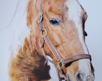 Horse portrait painting commission finely detailed in watercolour. Bespoke portrait hand painted