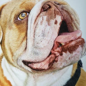 Custom pet portrait, original pet portrait painting 100% hand-painted, watercolour, Animal painting