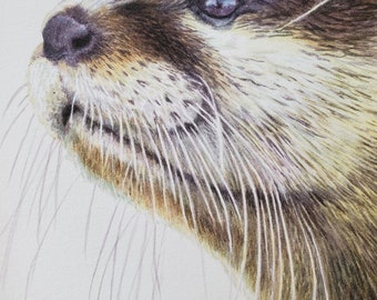 Otter painting watercolour original hand-painted framed