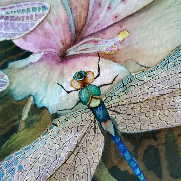 Dragonfly original painting hand-painted in Watercolour by Michelle Martin