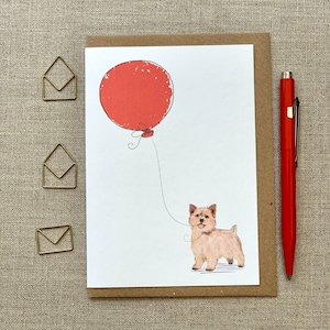 Cartão de felicitações de aniversário do Norwich Terrier para amantes de cães, cartão do Norwich Terrier