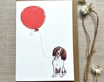Springer Spaniel Birthday Card: Dog Lover Greetings Card