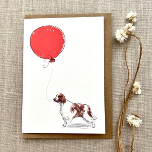 Welsh Springer Spaniel birthday greetings card for dog lover, Welsh springer spaniel card