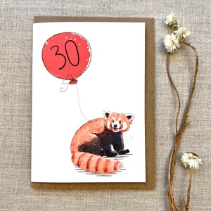 May include: A red panda with a red balloon that says "30" on it. The red panda is sitting on a white background.