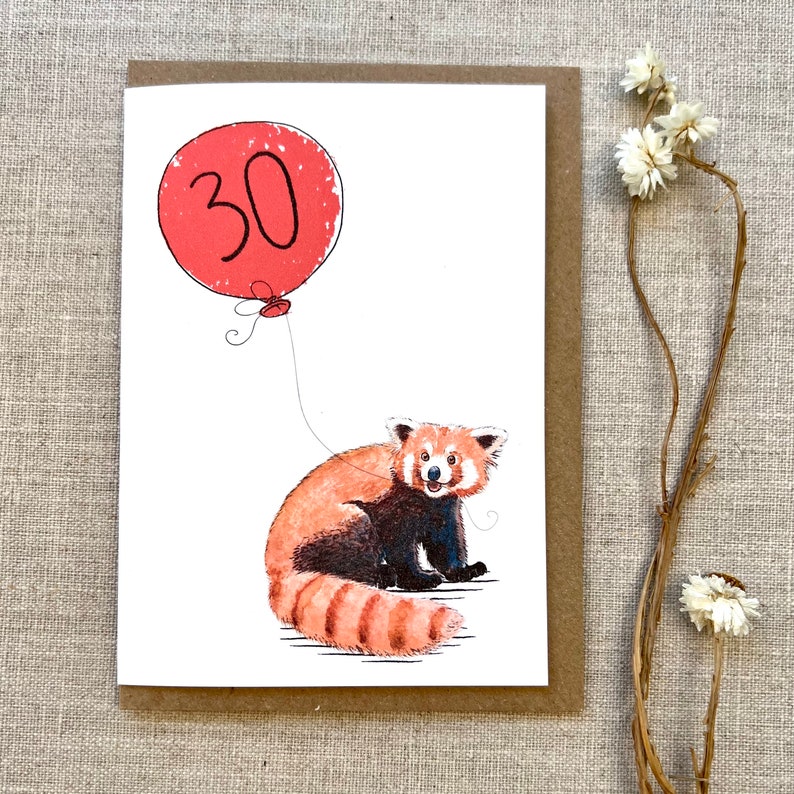 May include: A red panda with a red balloon that says "30" on it. The red panda is sitting on a white background.