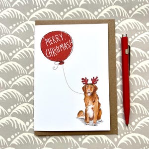 Nova scotia duck tolling retriever Christmas Card For Dog Lovers