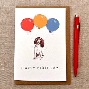 Springer Spaniel Geburtstagskarte für Hundeliebhaber, drei Ballons, Springer Spaniel Karten