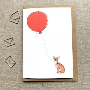 Chihuahua birthday greetings card for dog lover, Chihuahua card