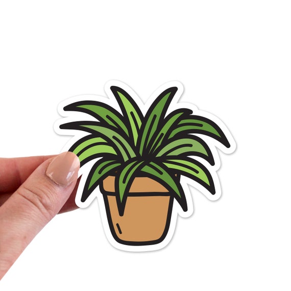 Plant Stickers, Plant Sticker, Plant Laptop Sticker, Plant Vinyl