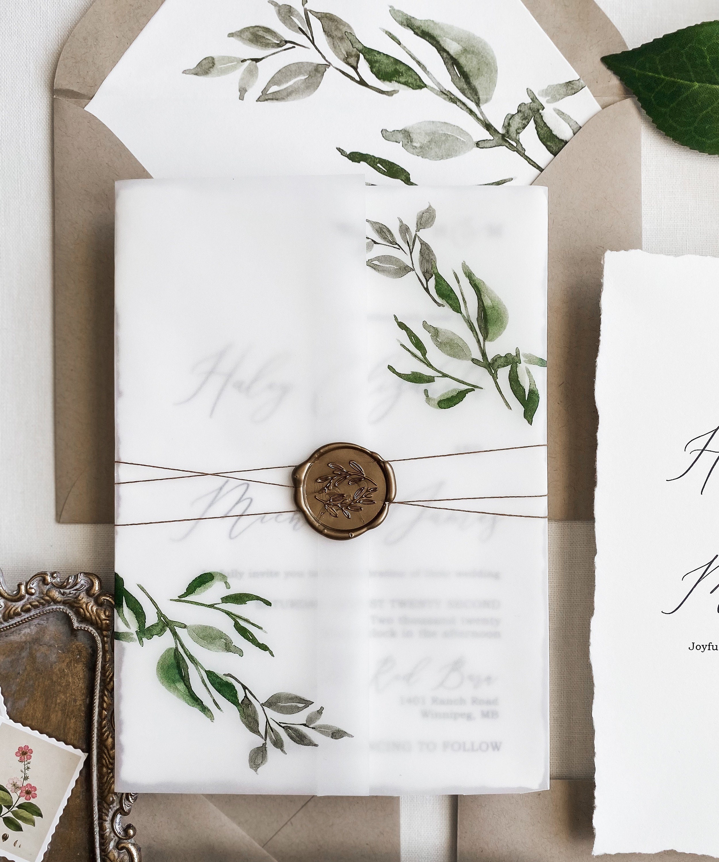 Rustic Greenery Botanical Vellum Wrap Jacket for 5 x 7 Wedding Invitation -  Cotton Willow Design Co.