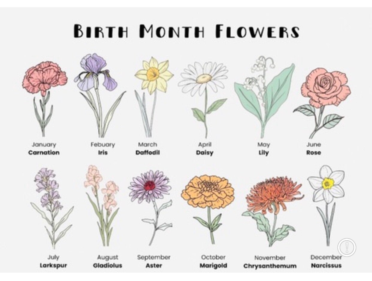 Birth Month Flower Stickers Birthday Flower Month Stickers Birthday