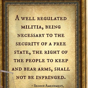 2nd Second Amendment print US Constitution art Attorney Lawyer art civil right to bear arms Guns Freedom Defend History Back School Poster