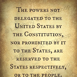 Tenth 10th amendment print US Constitution Federal State Power Lawyer Attorney wall art Freedom civil rights History Back to School Poster