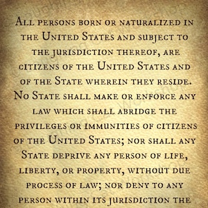 Fourteenth 14th Amendment United States Constitution Lawyer Attorney art Life Liberty Property History poster Back to School Civil Right art image 1