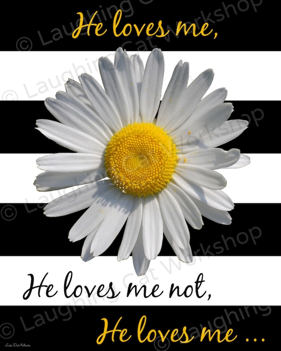 Hipster He Loves Me He Loves Me Not Print Daisy Art Funny