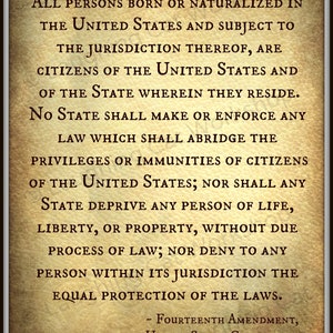 Fourteenth 14th Amendment United States Constitution Lawyer Attorney art Life Liberty Property History poster Back to School Civil Right art image 2