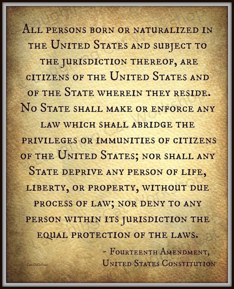 Fourteenth 14th Amendment United States Constitution Lawyer Attorney art Life Liberty Property History poster Back to School Civil Right art image 2