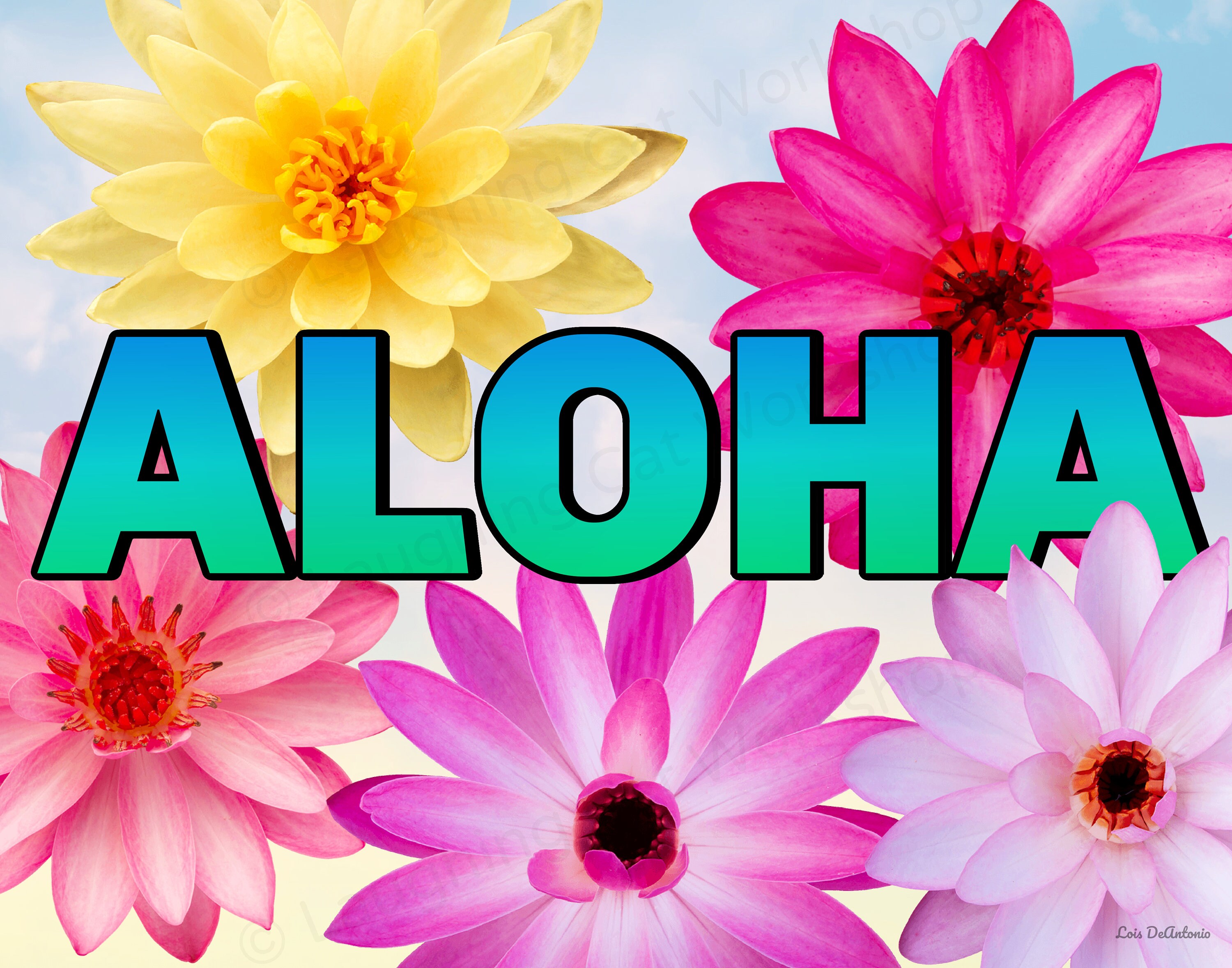 Aloha Print Hawaiian Art Pink Lotus Daisy Flower Art Welcome
