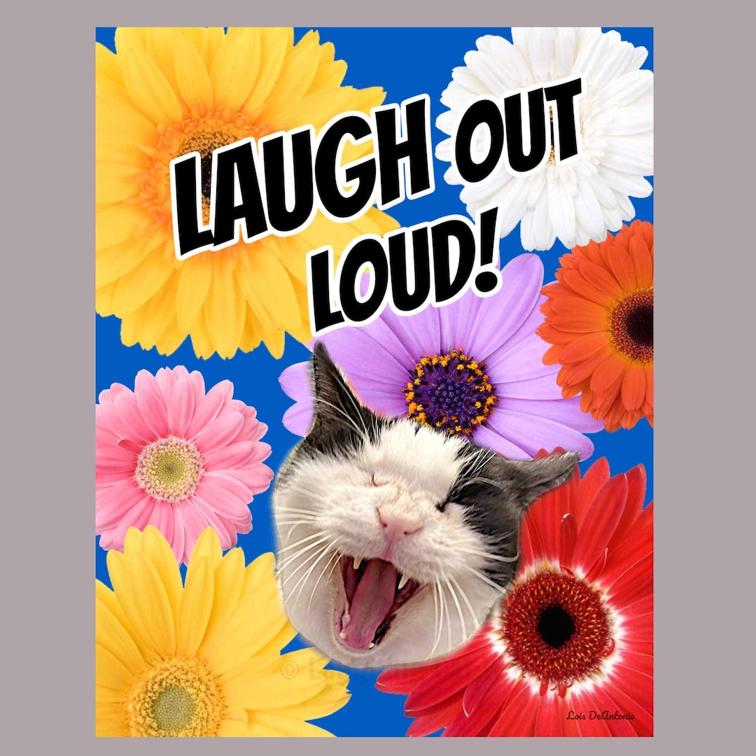 Laugh Out Loud LOL Print Funny Cat Meme Comic Office Decor Mental ...