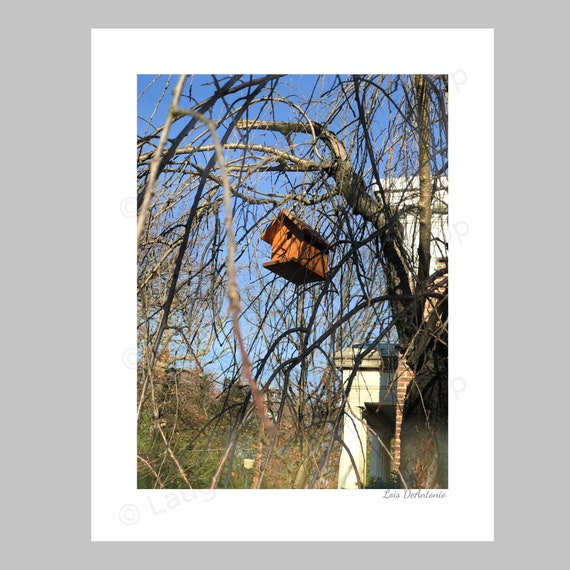 Bird house cheap nj